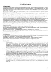 Pagrindiniai literatūros autoriai su kontekstais 2 puslapis