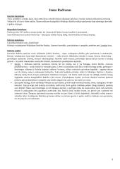 Pagrindiniai literatūros autoriai su kontekstais 3 puslapis