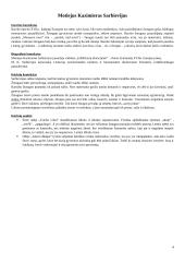 Pagrindiniai literatūros autoriai su kontekstais 4 puslapis