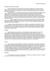 Teorija apie Balį Sruogą 2 puslapis