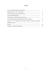 Lietuvos ir Jungtinių Amerikos Valstijų (JAV) tarptautiniai ekonominiai santykiai 2 puslapis