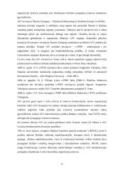 Lietuvos ir Jungtinių Amerikos Valstijų (JAV) tarptautiniai ekonominiai santykiai 11 puslapis