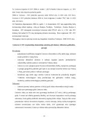 Lietuvos ir Jungtinių Amerikos Valstijų (JAV) tarptautiniai ekonominiai santykiai 13 puslapis