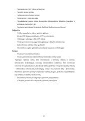 Lietuvos ir Jungtinių Amerikos Valstijų (JAV) tarptautiniai ekonominiai santykiai 14 puslapis