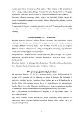 Lietuvos ir Jungtinių Amerikos Valstijų (JAV) tarptautiniai ekonominiai santykiai 4 puslapis