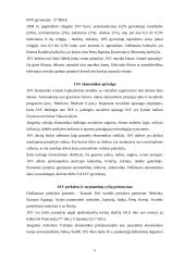 Lietuvos ir Jungtinių Amerikos Valstijų (JAV) tarptautiniai ekonominiai santykiai 5 puslapis