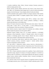 Lietuvos ir Jungtinių Amerikos Valstijų (JAV) tarptautiniai ekonominiai santykiai 8 puslapis