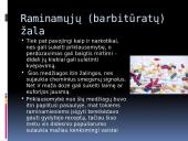 Žalingi įpročiai: alkoholis ir narkotikai 11 puslapis