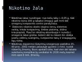 Žalingi įpročiai: alkoholis ir narkotikai 13 puslapis