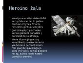 Žalingi įpročiai: alkoholis ir narkotikai 5 puslapis