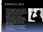 Žalingi įpročiai: alkoholis ir narkotikai 7 puslapis