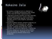 Žalingi įpročiai: alkoholis ir narkotikai 9 puslapis