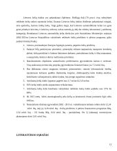 Lietuvos kelių infrastruktūra ir jos plėtra 12 puslapis