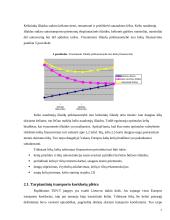 Lietuvos kelių infrastruktūra ir jos plėtra 7 puslapis