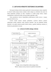 Lietuvos kredito sistemos galimybių privačiam sektoriui analizė 15 puslapis
