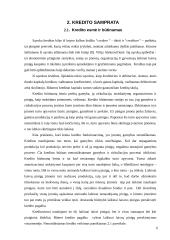 Lietuvos kredito sistemos galimybių privačiam sektoriui analizė 6 puslapis