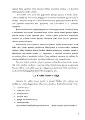 Lietuvos kredito sistemos galimybių privačiam sektoriui analizė 8 puslapis