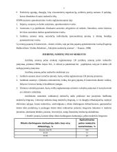 Mokesčių paketas vyraujantis Lietuvoje 7 puslapis