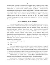 Mokesčių paketas vyraujantis Lietuvoje 10 puslapis