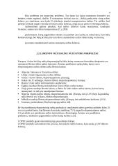 Lietuvos naftos eksportas 16 puslapis