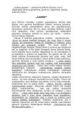 Jono Bilūno kūryba ir jos apžvalga 5 puslapis