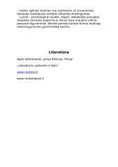 Jono Bilūno kūryba ir jos apžvalga 8 puslapis