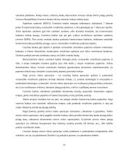 Pinigai, Centrinis Bankas ir pinigų (monetarinė) politika 14 puslapis