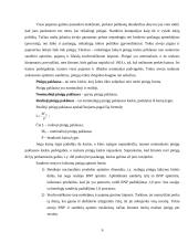 Pinigai, Centrinis Bankas ir pinigų (monetarinė) politika 6 puslapis