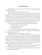 Pinigai, Centrinis Bankas ir pinigų (monetarinė) politika 10 puslapis