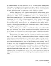 Lietuvos Respublikos (LR) finansų sistema ir institucijos 12 puslapis