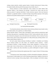 Lietuvos Respublikos (LR) finansų sistema ir institucijos 6 puslapis