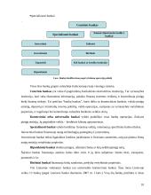 Lietuvos Respublikos (LR) finansų sistema ir institucijos 10 puslapis