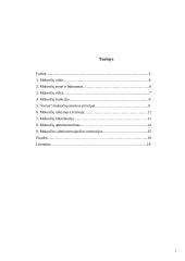 Lietuvos Respublikos mokesčių sistemos samprata 2 puslapis