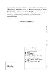 Lietuvos Respublikos mokesčių sistemos samprata 11 puslapis
