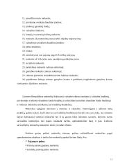 Lietuvos Respublikos mokesčių sistemos samprata 13 puslapis
