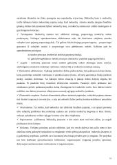 Lietuvos Respublikos mokesčių sistemos samprata 10 puslapis