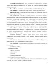 Lietuvos Respublikos valstybės turto valdymo problemos ir tendencijos 6 puslapis