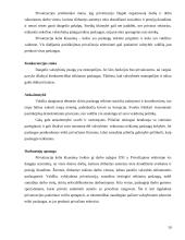 Lietuvos Respublikos valstybės turto valdymo problemos ir tendencijos 10 puslapis