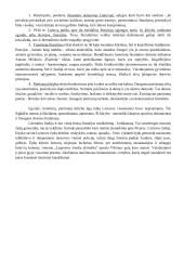 XX a. vidurio katastrofų literatūra 2 puslapis