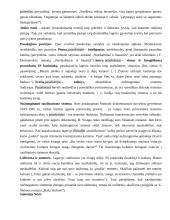 Išsamiai apie lietuvių kalbos programos autorius 19 puslapis