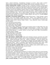 Išsamiai apie lietuvių kalbos programos autorius 5 puslapis