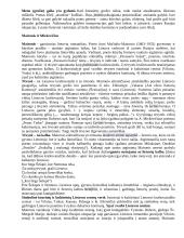 Išsamiai apie lietuvių kalbos programos autorius 6 puslapis