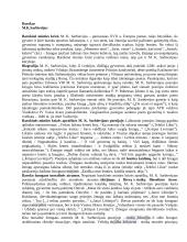 Išsamiai apie lietuvių kalbos programos autorius 8 puslapis