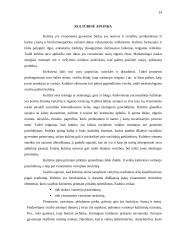 Lietuvos socialinė-kultūrinė aplinka 14 puslapis