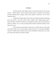 Lietuvos socialinė-kultūrinė aplinka 20 puslapis