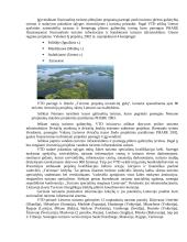 Lietuvos turizmo plėtra 14 puslapis