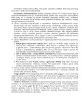 Lietuvos turizmo plėtra 17 puslapis