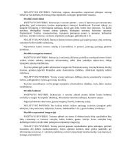 Lietuvos turizmo plėtra 20 puslapis