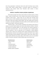 Lietuvos užsienio prekybos raida ir ypatumai 6 puslapis