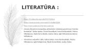 Kristijonas Donelaitis poema „Metai“ Būrai ir ponai 14 puslapis